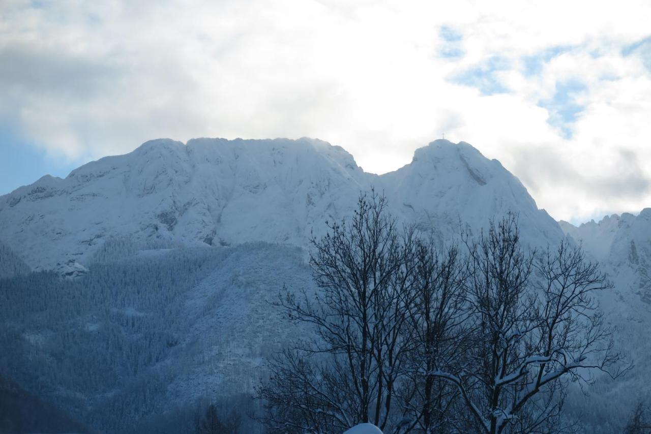 Pensjonat Jastrzebia Turnia Hotel Zakopane Buitenkant foto