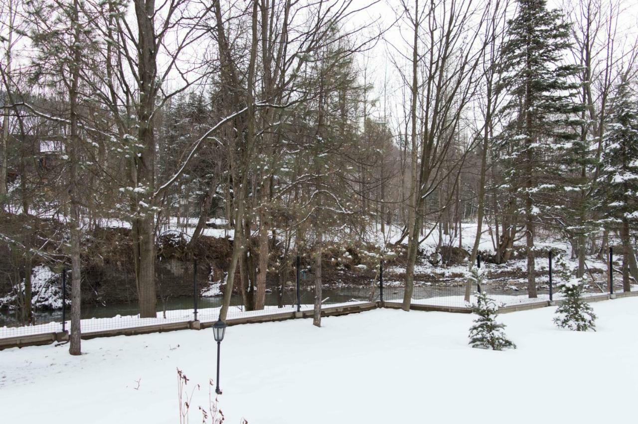 Pensjonat Jastrzebia Turnia Hotel Zakopane Buitenkant foto